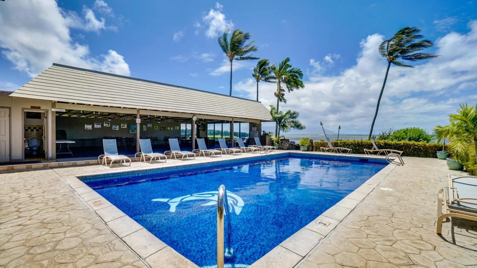 Molokai Island Retreat With Ocean View And Pool! Apartment Kaunakakai United States